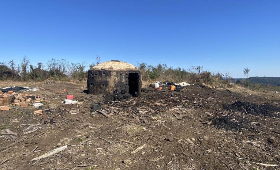 Operação de combate ao desmatamento em 12 cidades aplica R$ 4,6 milhões em multas