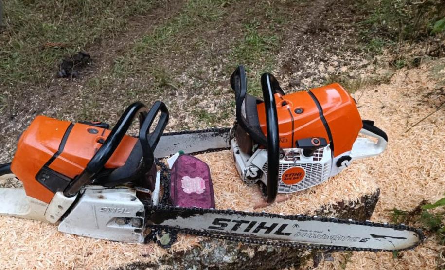 Operação de combate ao desmatamento em 12 cidades aplica R$ 4,6 milhões em multas