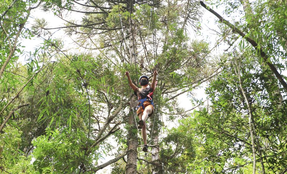 Um Dia no Parque: Unidades de Conservação terão programação especial neste domingo