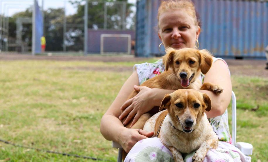 CastraPet vai estrear em 84 municípios do Paraná durante o 5º ciclo