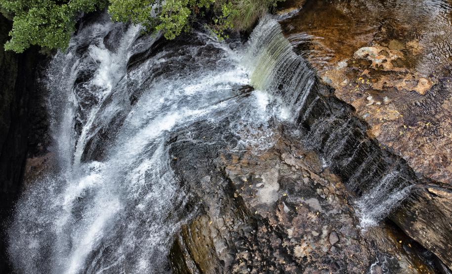 336 mil turistas: Unidades de Conservação quebram recorde de visitas no 1º semestre
