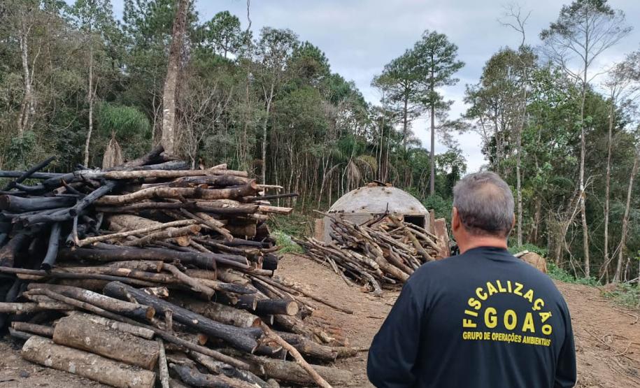 Estado investe R$ 24 milhões em carros para fiscalização ambiental e projeto de observação de pássaros