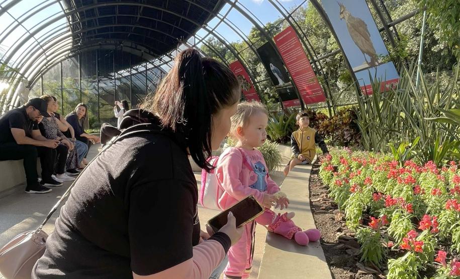Exposição sobre fauna ameaçada atrai turistas ao Jardim Botânico de Curitiba