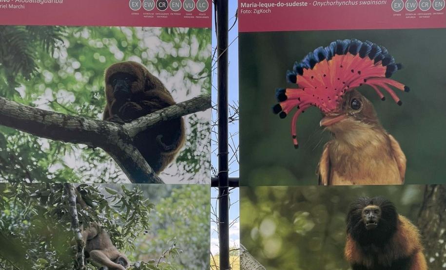 Exposição sobre fauna ameaçada atrai turistas ao Jardim Botânico de Curitiba