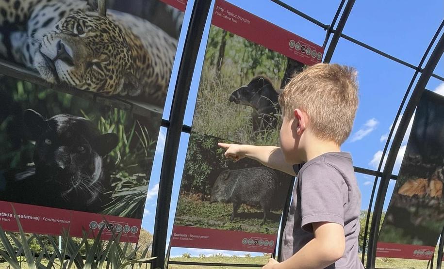 Exposição sobre fauna ameaçada atrai turistas ao Jardim Botânico de Curitiba