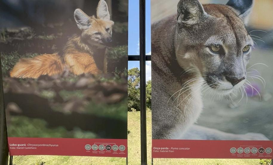 Exposição sobre fauna ameaçada atrai turistas ao Jardim Botânico de Curitiba
