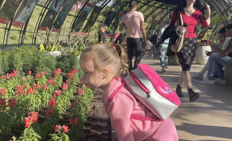 Exposição sobre fauna ameaçada atrai turistas ao Jardim Botânico de Curitiba