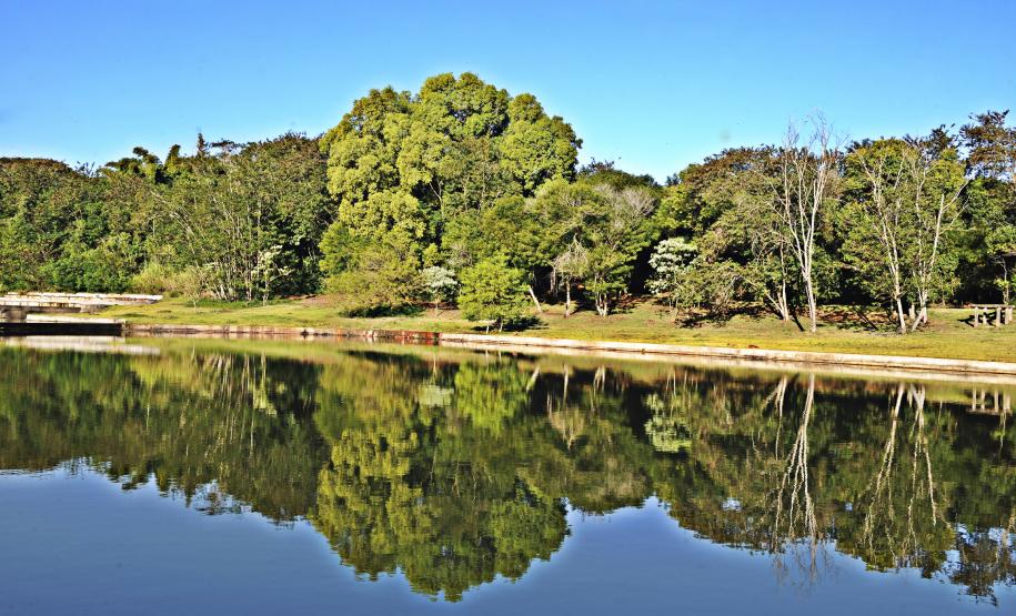 Jardim Botânico de Londrina será revitalizado pelo Governo do Estado