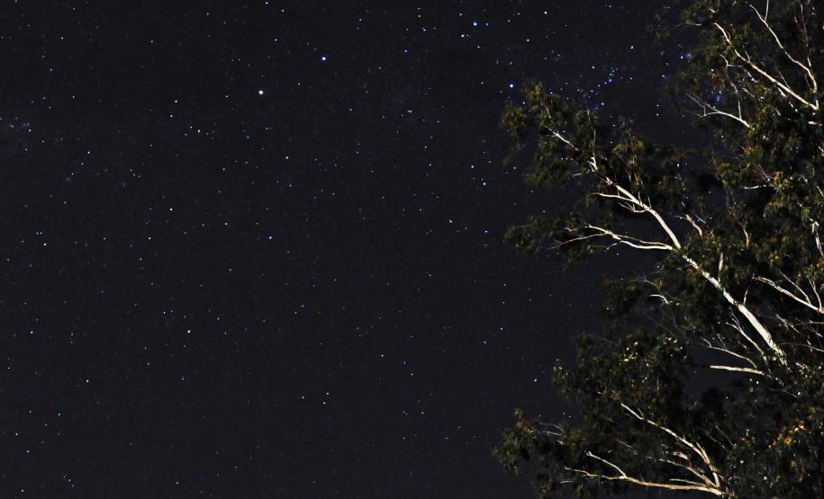 Jardim Botânico de Londrina será revitalizado pelo Governo do Estado