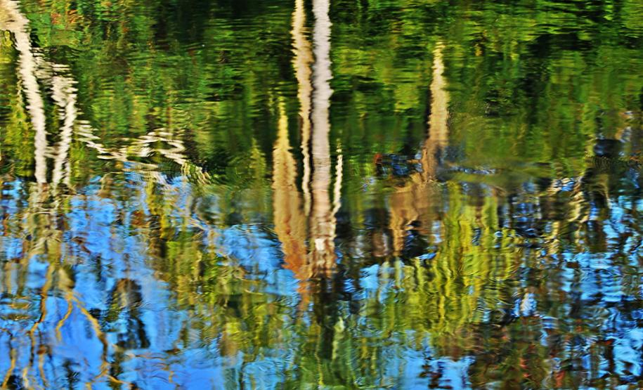 Jardim Botânico de Londrina será revitalizado pelo Governo do Estado