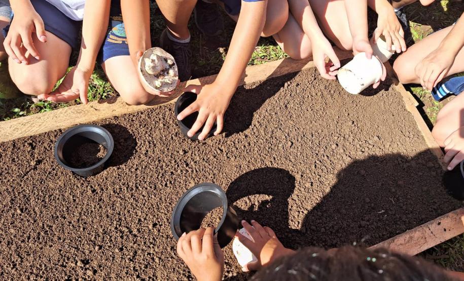 Governo do Estado, por meio dos viveiros do IAT, distribuiu 1,4 milhão de mudas no primeiro semestre de 2025