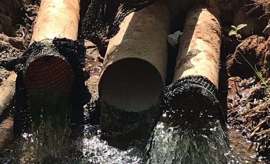 IAT reforça necessidade do cadastro de nascentes para a gestão hídrica no Estado