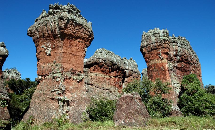 336 mil turistas: Unidades de Conservação quebram recorde de visitas no 1º semestre