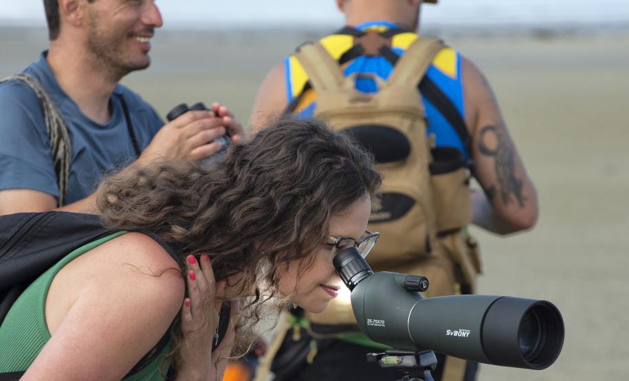 Estado investe R$ 24 milhões em carros para fiscalização ambiental e projeto de observação de pássaros