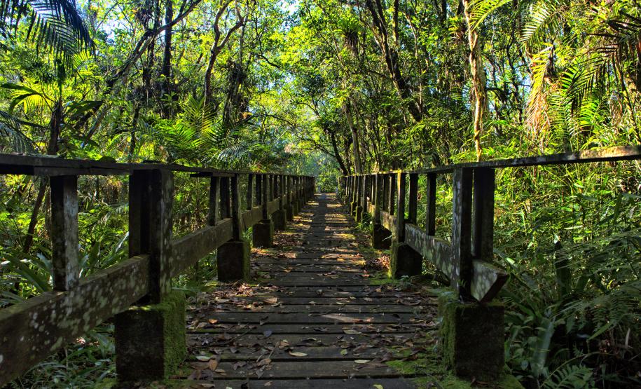 336 mil turistas: Unidades de Conservação quebram recorde de visitas no 1º semestre