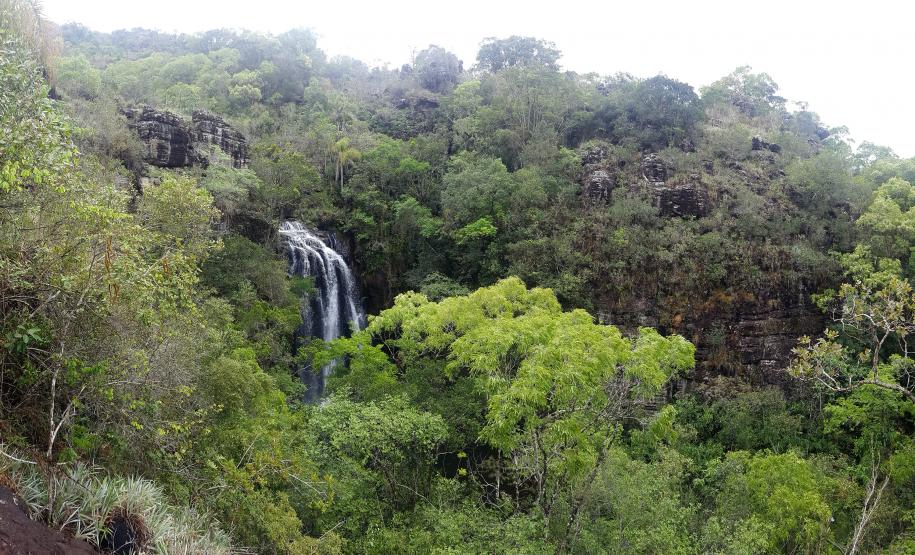 Paraná reforça conservação da biodiversidade com apoio do Fundo Verde do BRDE
