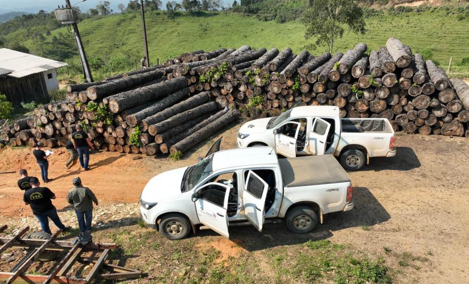 Estado investe R$ 24 milhões em carros para fiscalização ambiental e projeto de observação de pássaros