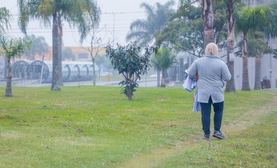 Julho começa com temperaturas negativas no Paraná, registra o Simepar