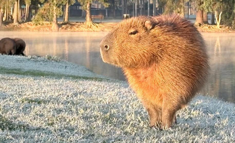 Curitiba registrou nesta quarta-feira a 2ª temperatura máxima mais baixa desde 1997