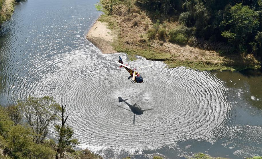 IAT promove restauração ambiental do Parque do Cerrado por meio da queima controlada