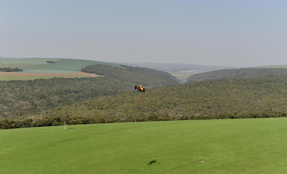 IAT promove restauração ambiental do Parque do Cerrado por meio da queima controlada