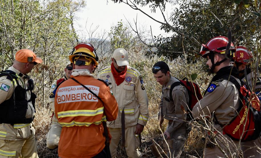 IAT promove restauração ambiental do Parque do Cerrado por meio da queima controlada