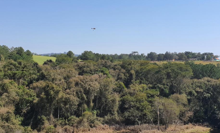 IAT promove restauração ambiental do Parque do Cerrado por meio da queima controlada