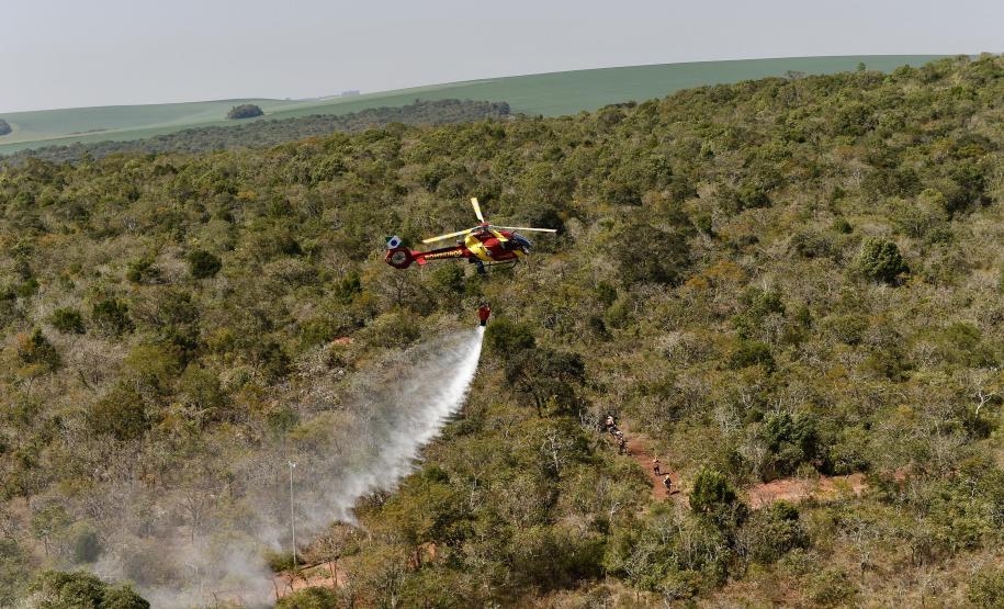 IAT promove restauração ambiental do Parque do Cerrado por meio da queima controlada
