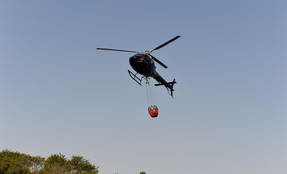 IAT promove restauração ambiental do Parque do Cerrado por meio da queima controlada