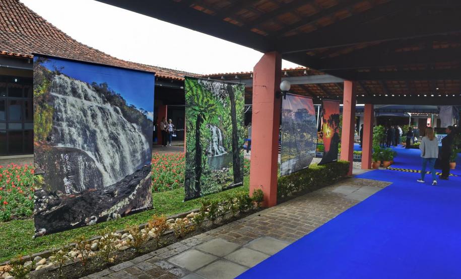 Com Conferência da Mata Atlântica, Paraná reforça protagonismo ambiental