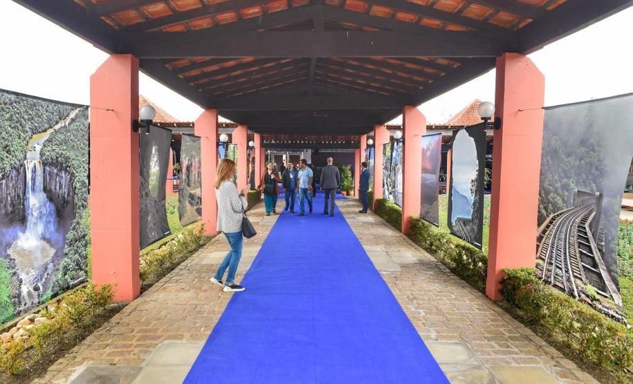 Com Conferência da Mata Atlântica, Paraná reforça protagonismo ambiental