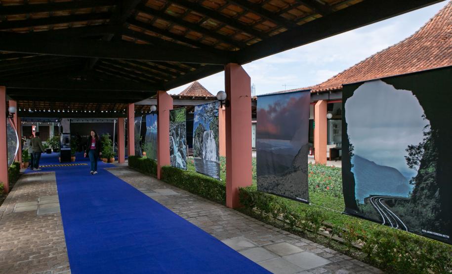 Crédito de biodiversidade do Paraná é destaque na Conferência da Mata Atlântica