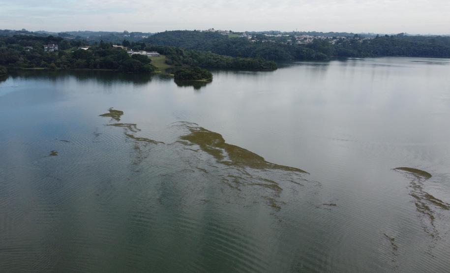 ICMS Ecológico: Estado repassa R$ 316 milhões a cidades com áreas protegidas no 1º semestre
