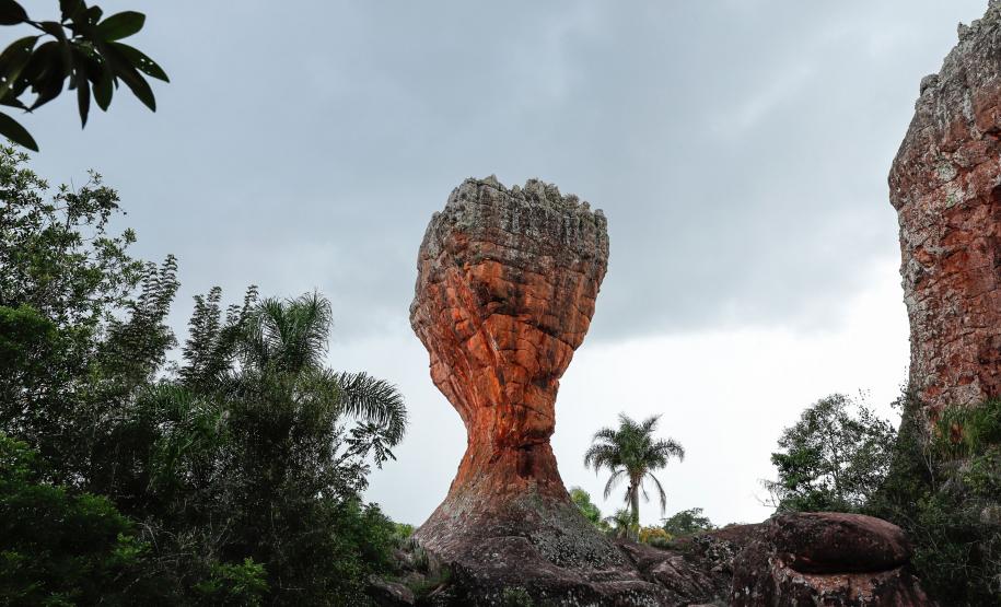 Vila Velha, MON e museus são destaques no selo Travellers’ Choice, da TripAdvisor.