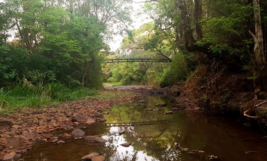 Natureza em Mato Rico (PR)