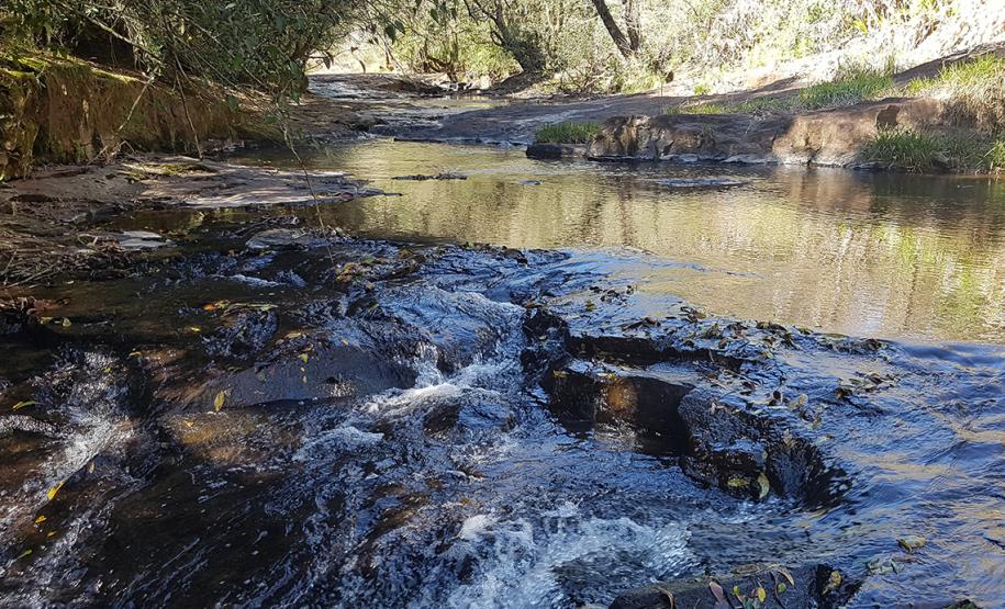 Natureza em Mato Rico (PR)