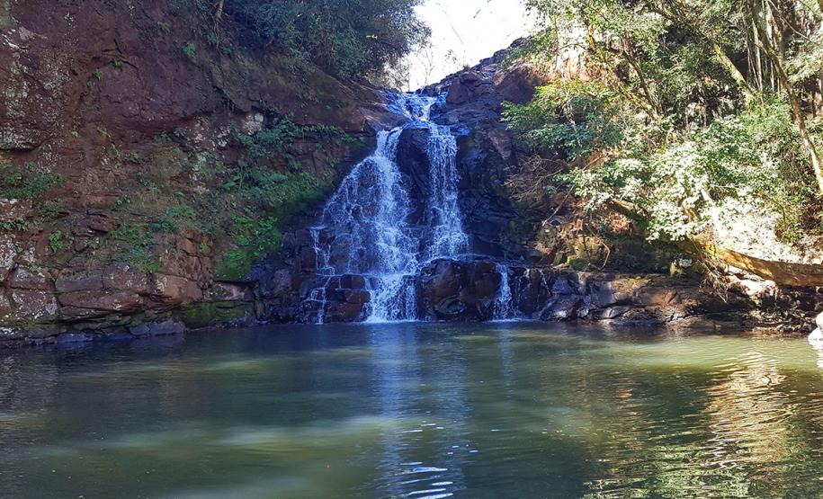 Natureza em Mato Rico (PR)
