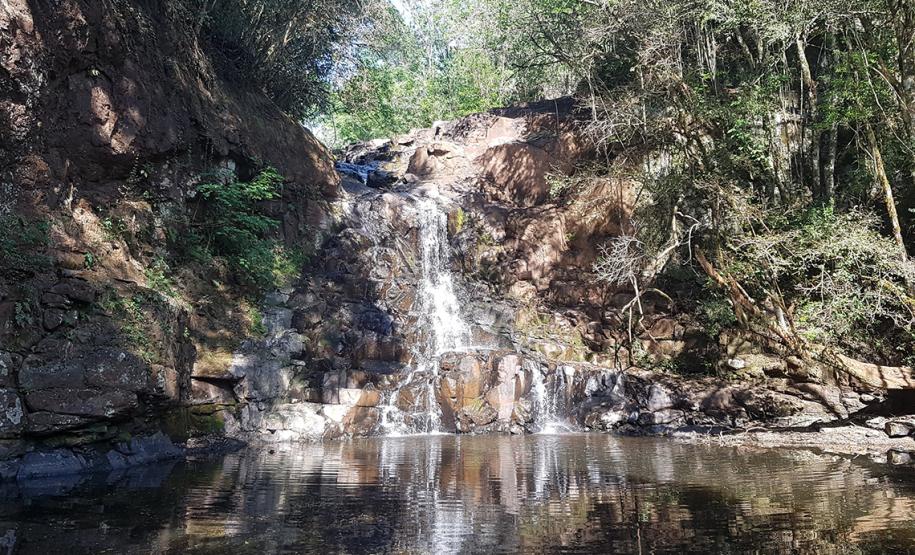 Natureza em Mato Rico (PR)