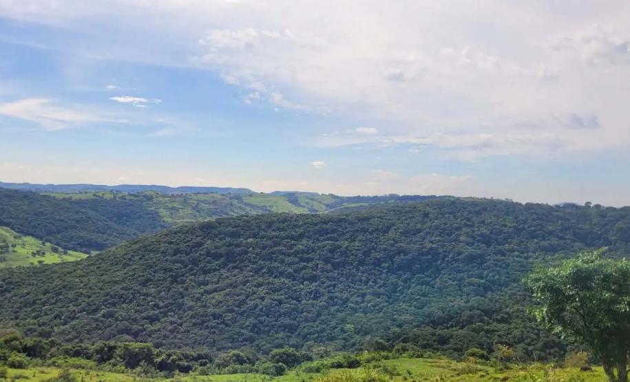 Natureza em Mato Rico (PR)