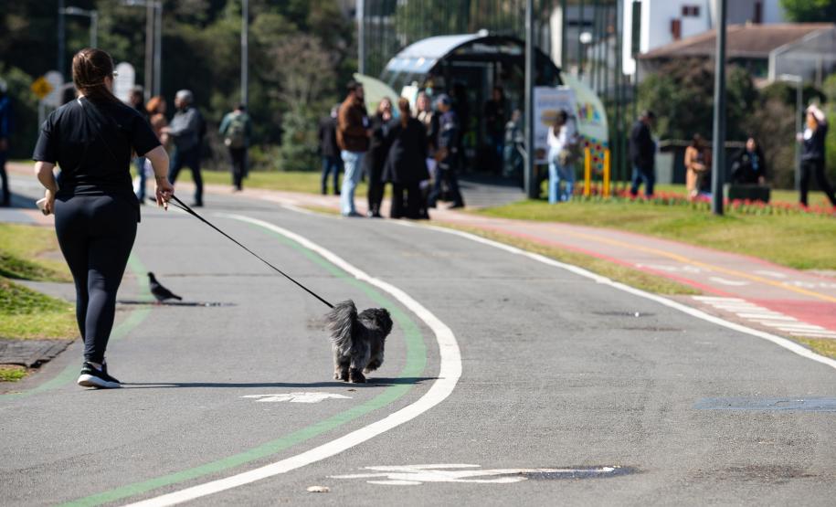 Calor no inverno em todo o Paraná deve durar apenas dois dias, prevê Simepar