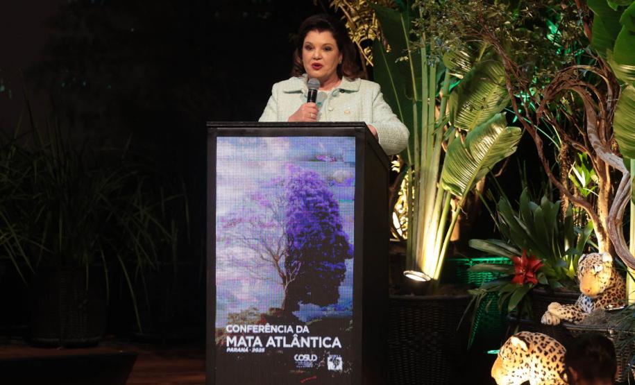 Reunião dos governadores do Cosud destaca avanços na preservação da Mata Atlântica