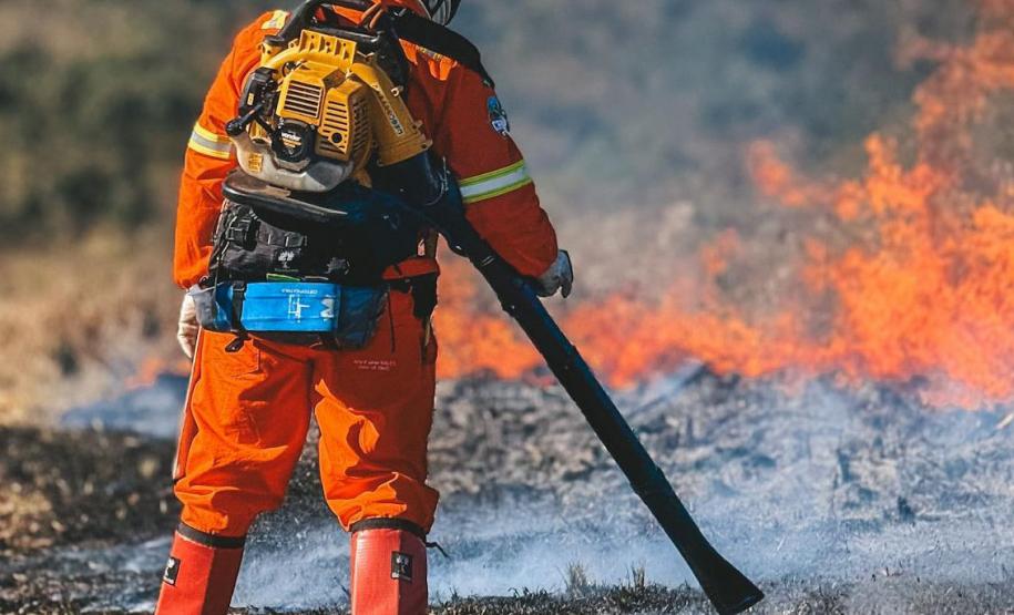 Quase 1,6 mil pessoas integram os programas de voluntariado