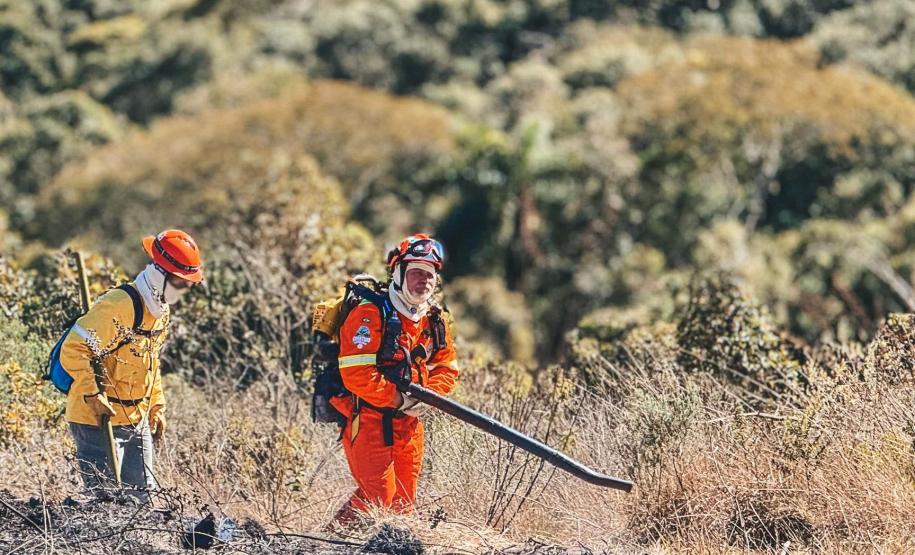 Quase 1,6 mil pessoas integram os programas de voluntariado