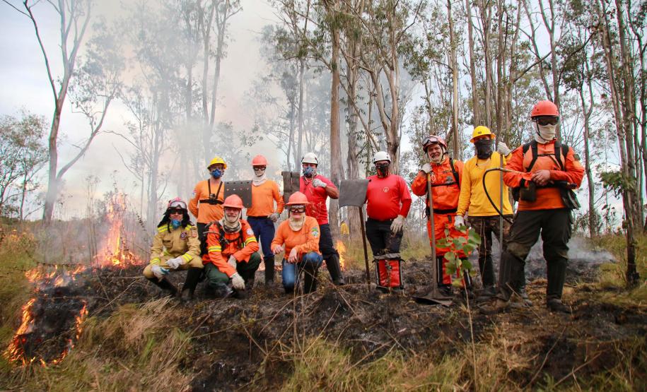 Quase 1,6 mil pessoas integram os programas de voluntariado