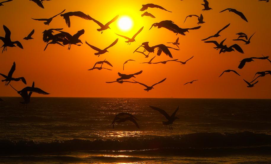 Julho frio e seco: mês teve temperaturas e volume de chuva abaixo da média no Paraná