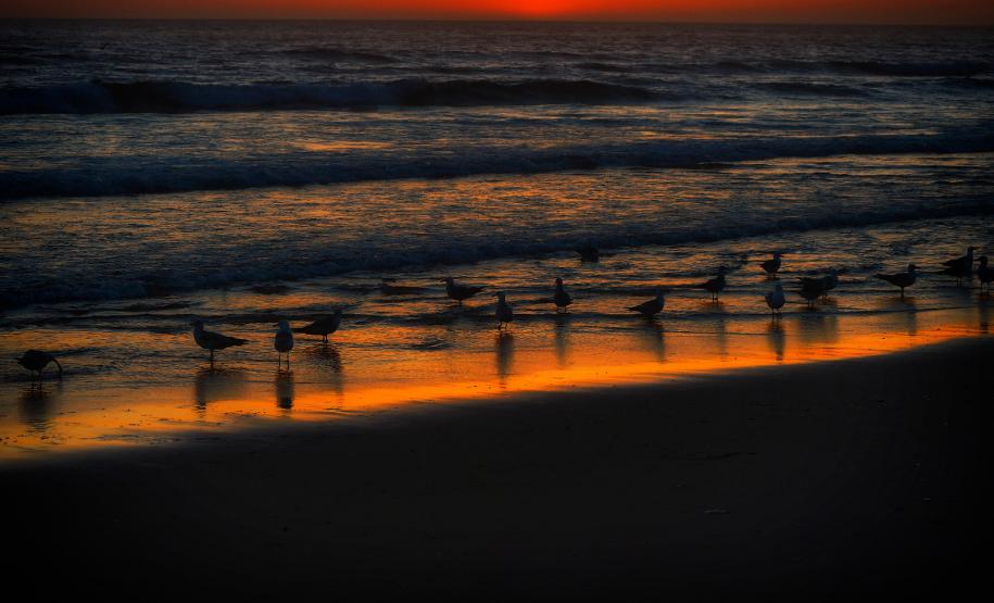 Julho frio e seco: mês teve temperaturas e volume de chuva abaixo da média no Paraná