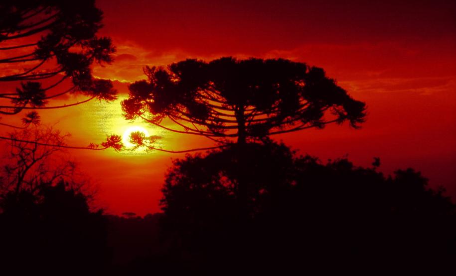 Julho frio e seco: mês teve temperaturas e volume de chuva abaixo da média no Paraná