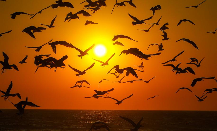 Amplitude térmica e diferenças regionais marcam o tempo no Paraná no fim de semana