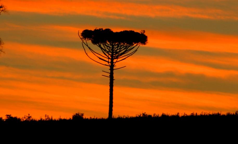Amplitude térmica e diferenças regionais marcam o tempo no Paraná no fim de semana