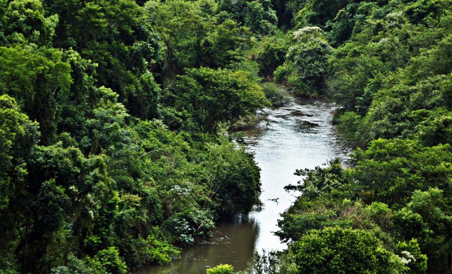 Comitê de Bacia Hidrográfica (CBH) dos Rios Piquiri e Paraná 2 vai se reunir em outubro para selecionar os membros que vão comandar a gestão 2025-2029